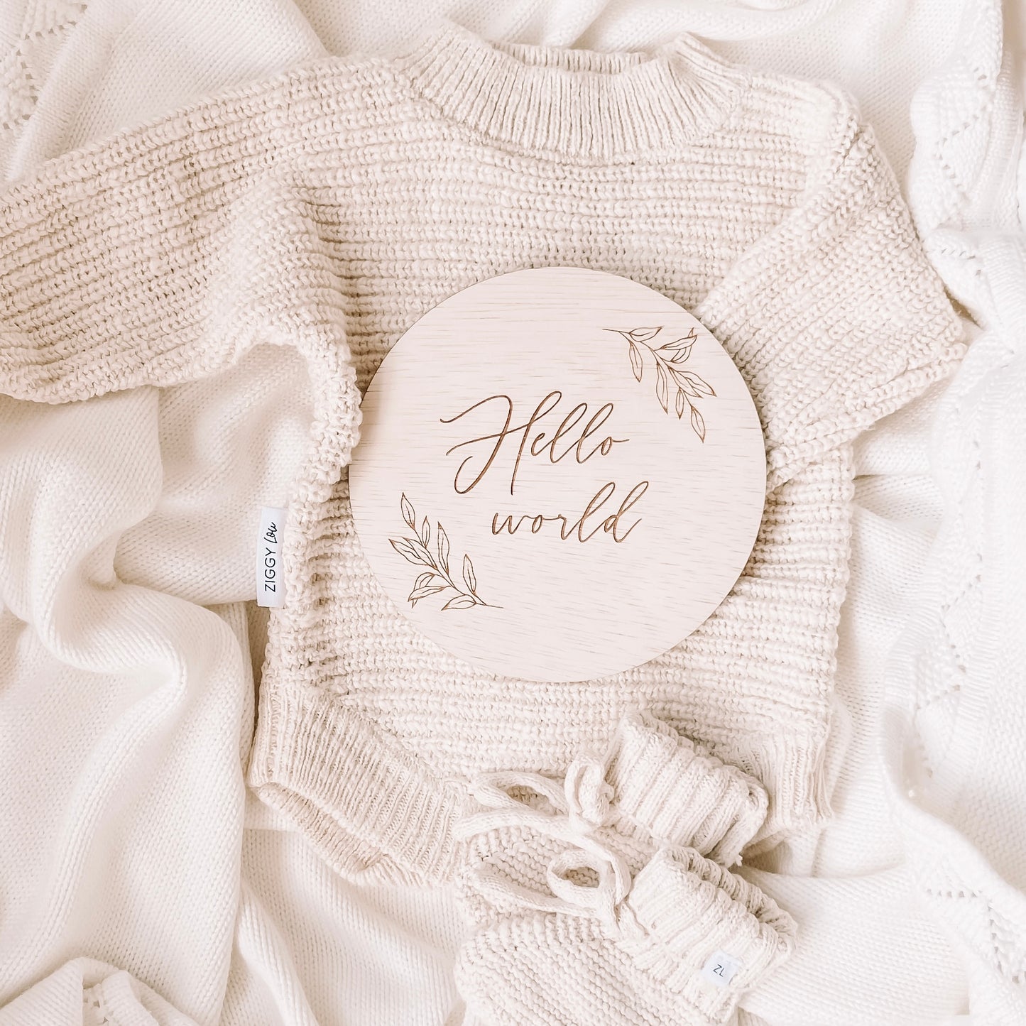 Hello World Wooden Announcement Plaque