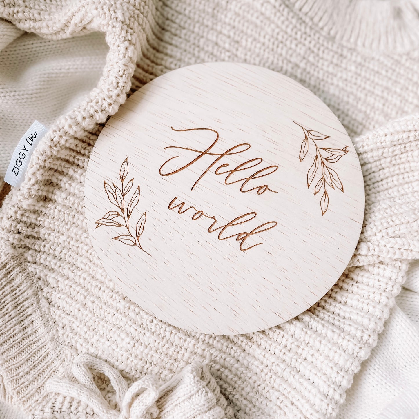 Hello World Wooden Announcement Plaque