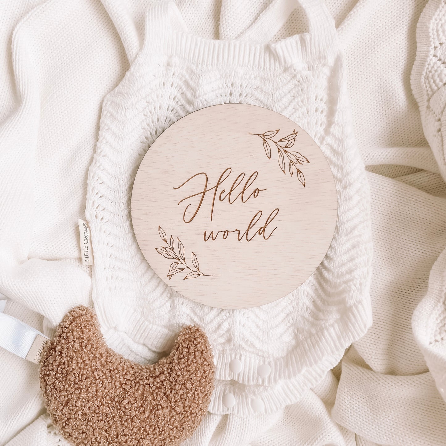 Hello World Wooden Announcement Plaque