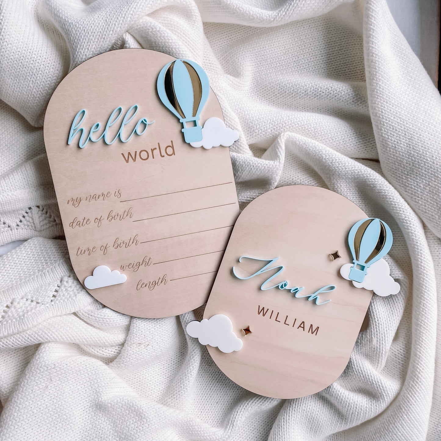 Birth Detail Plaque - Hot Air Balloon