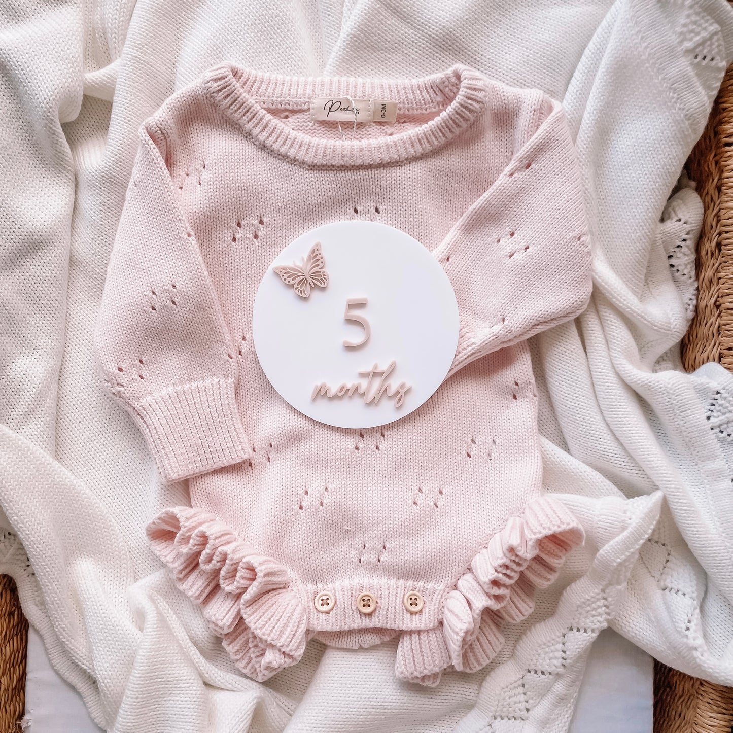 Butterfly Milestone Set