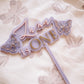 Butterfly Cake Topper