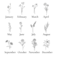 Birth Details/Flower Ornament